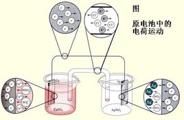 茄子视频成人在线廠家