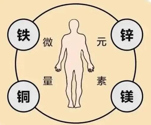 全自動茄子视频破解版廠家提示原創鐵是身體必須微量元素之一，哪些食物含鐵高呢？